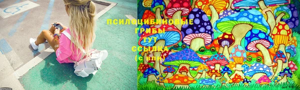 прущий лед Аркадак