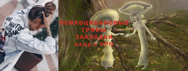 прущий лед Аркадак